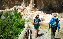 Guide turistiche Positano.